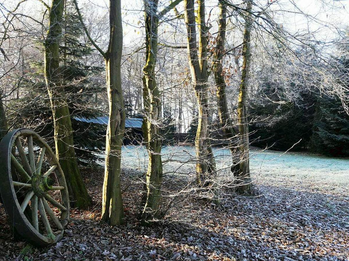 Zur Schanze Holtgast-Apen Екстериор снимка